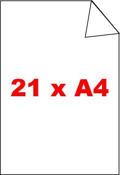 21 x DIN A4